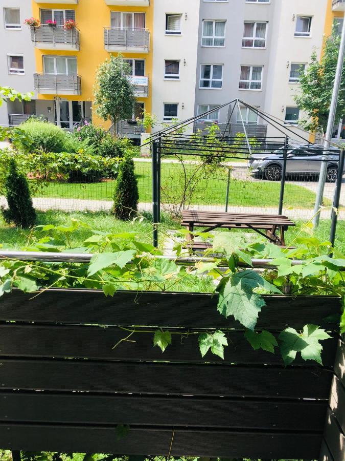 Brasov 3C Delux Διαμέρισμα Εξωτερικό φωτογραφία
